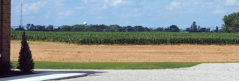 Corn field next to Sylvan Cellars Event Center